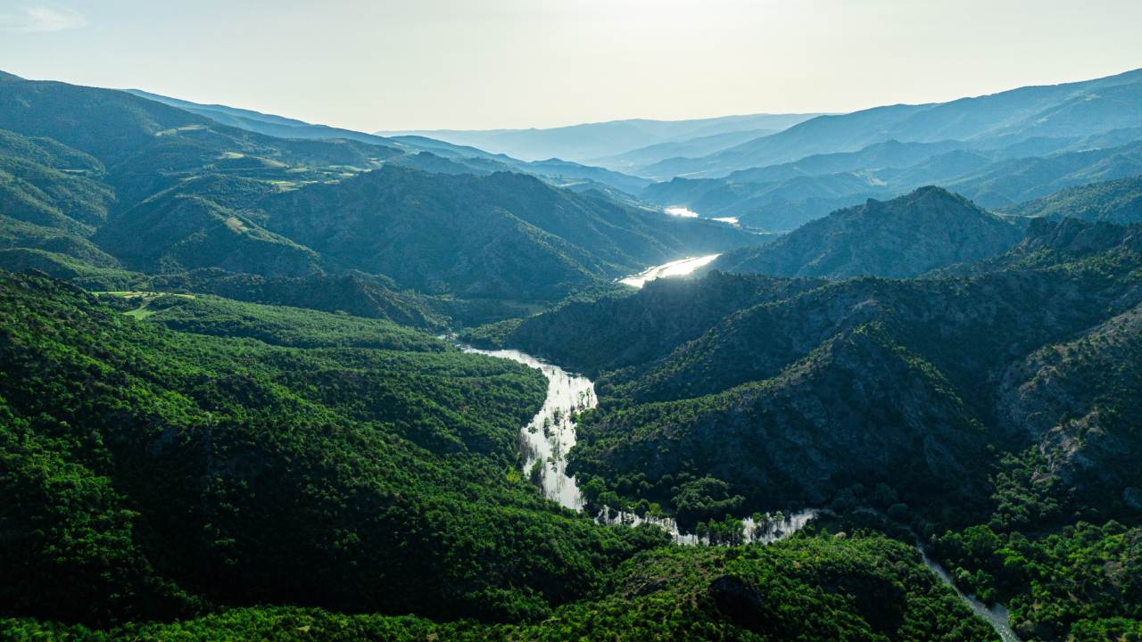 Tokatin Sakli Cenneti Bob Rossun Tablolarina Yolculuk (2)