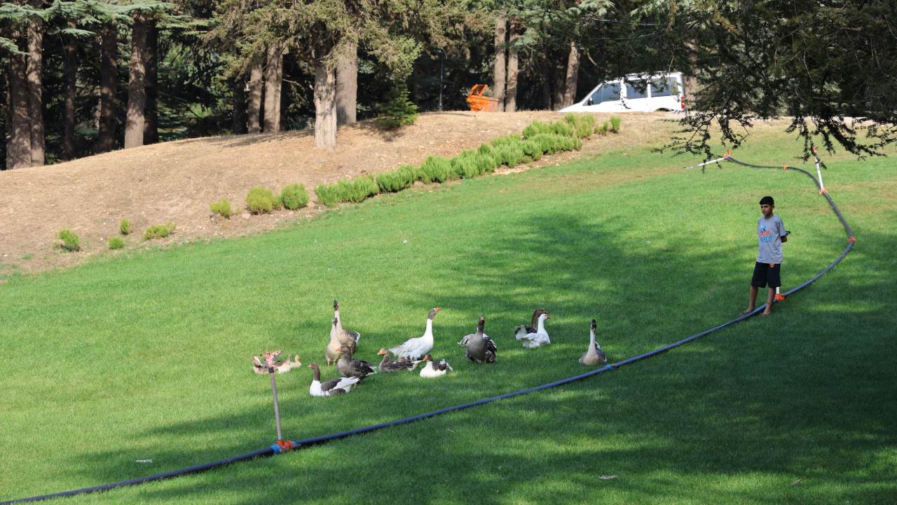 Turkiyenin Gizli Cenneti Baskonus Yaylasi Yerli Ve Yabanci Turistlerin Akinina Ugruyor (3)