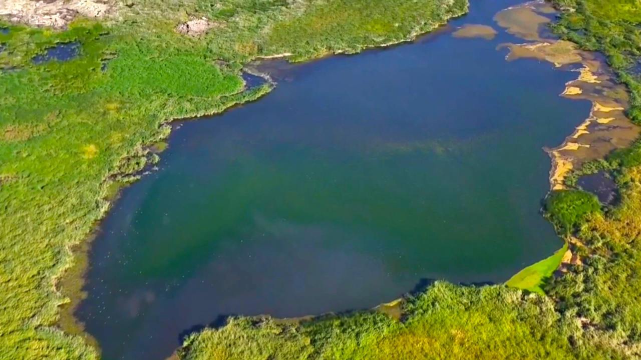 Vanda Gizemli Bir Kesif Ilk Kez Goruntulendi