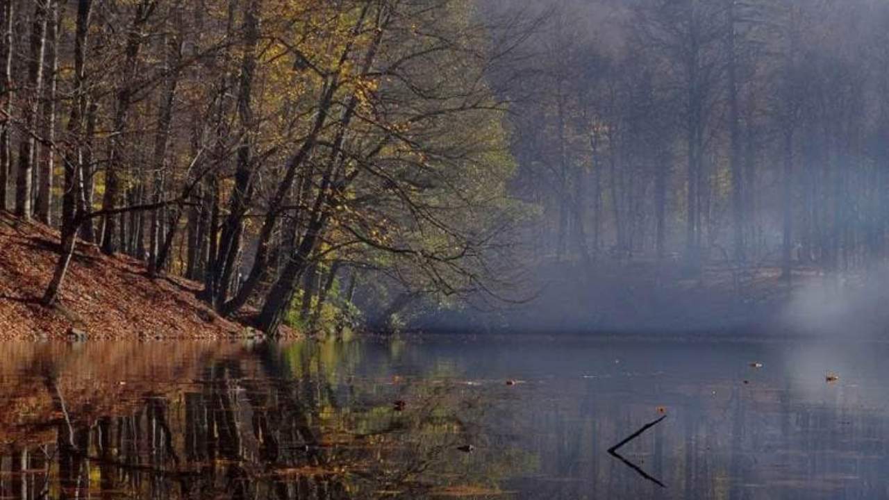 Bolunun Cennet Kosesi Yedigollerde Sonbahar Masali Basliyor