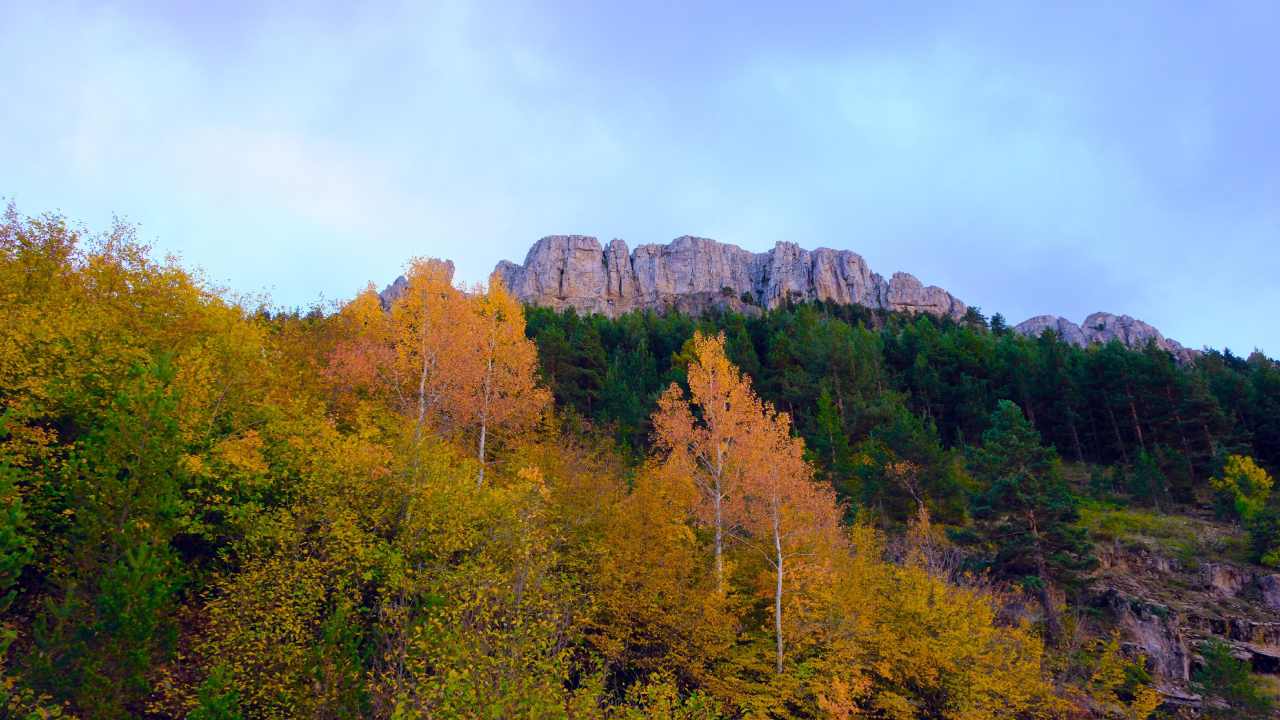 Gumushanede Doga Fotografcilarina Buyuk Firsat Altin Sehirde Renk Soleni (3)