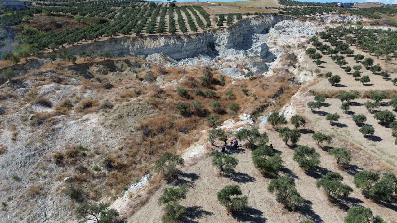 Hatayda Dev Yarik Zeytin Bahcesini Ikiye Boldu (2)