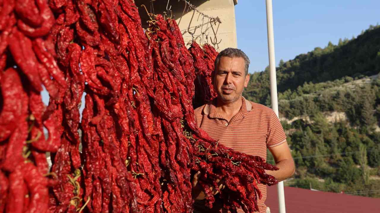 Hatayin Kirmizi Cenneti Biberler Koyu Kapladi