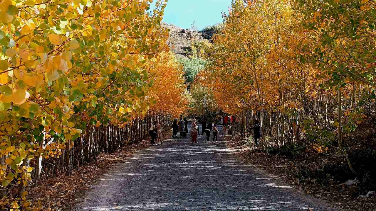 Nemrut Kalderasinin Sari Cenneti Doganin Altin Ruyasi