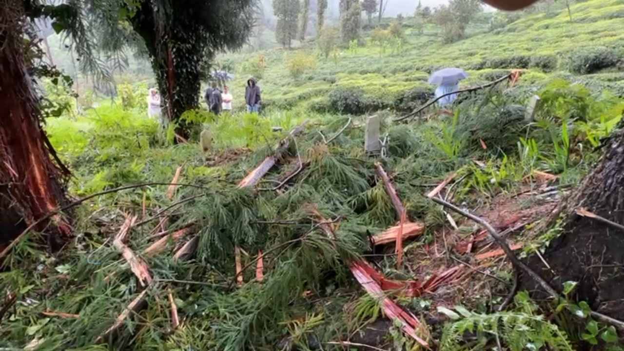 Yildirim Cam Agacini Devirdi Rizede Evde Buyuk Hasar (1)